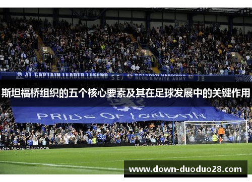 斯坦福桥组织的五个核心要素及其在足球发展中的关键作用 斯坦福桥组织的五个核心要素及其在足球发展中的关键作用