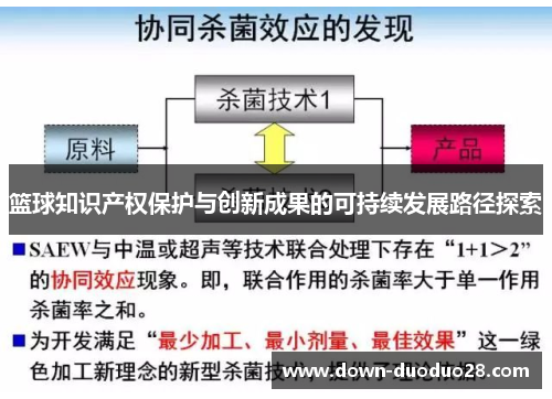 篮球知识产权保护与创新成果的可持续发展路径探索 篮球知识产权保护与创新成果的可持续发展路径探索