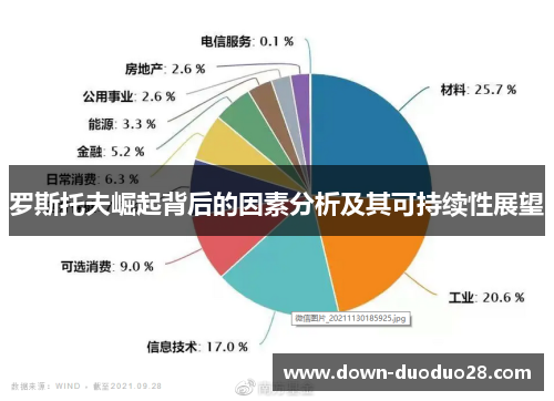 罗斯托夫崛起背后的因素分析及其可持续性展望