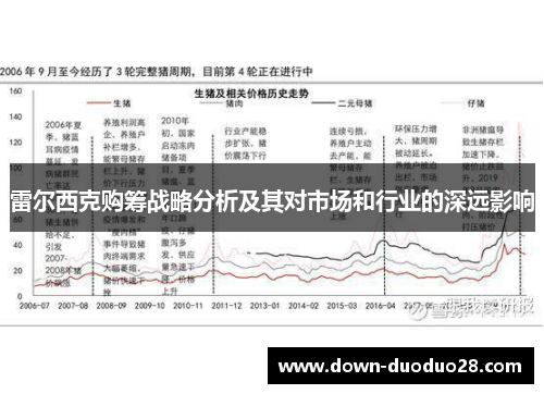 雷尔西克购筹战略分析及其对市场和行业的深远影响